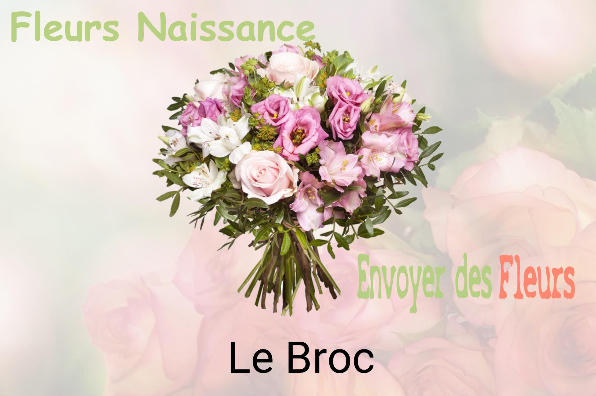 Bouquet de fleurs de naissance livré à Le Broc
